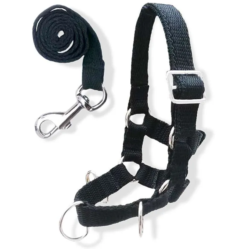 Crafty Ponies Lunge Set Black